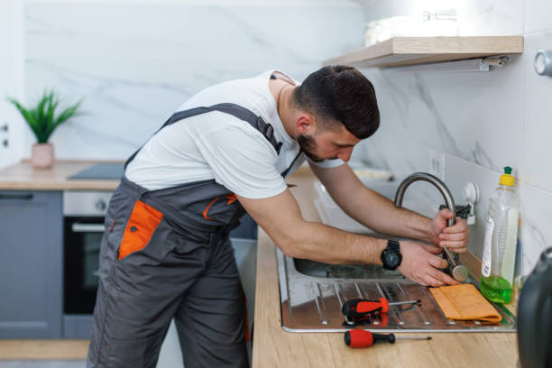 Best Residential Plumbing Services  in Birch Run, MI