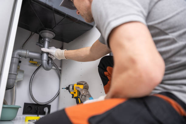 Best Commercial Plumbing Services  in Birch Run, MI